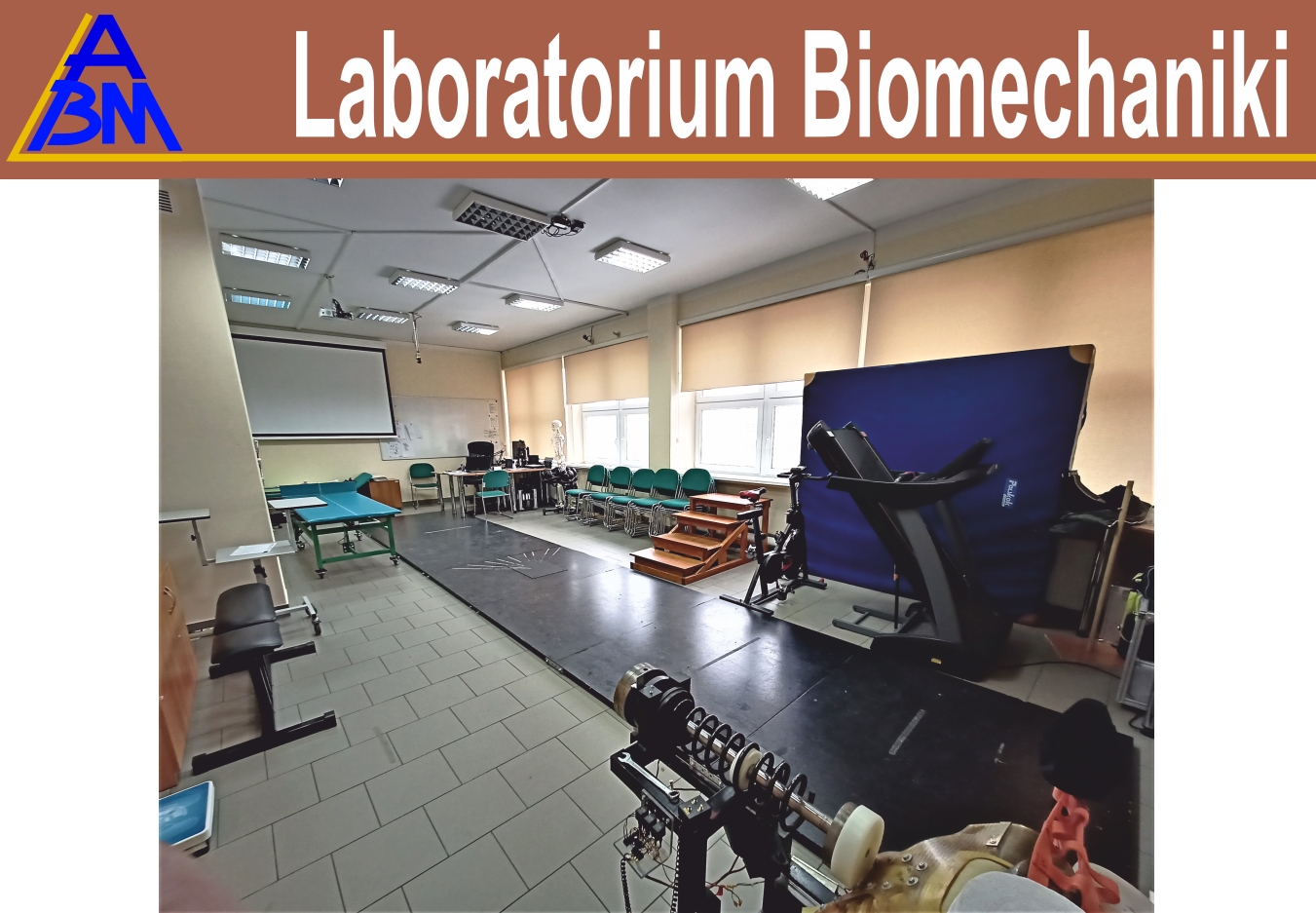 Laboratorium Biomechaniki